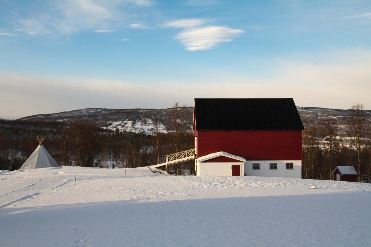 Aurora Borealis Observatory Silsand Zewnętrze zdjęcie