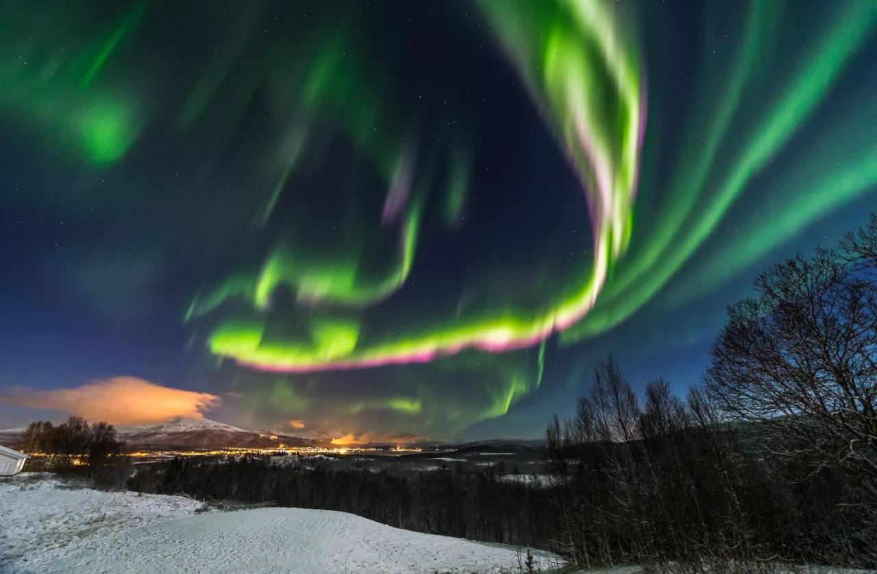 Aurora Borealis Observatory Silsand Zewnętrze zdjęcie
