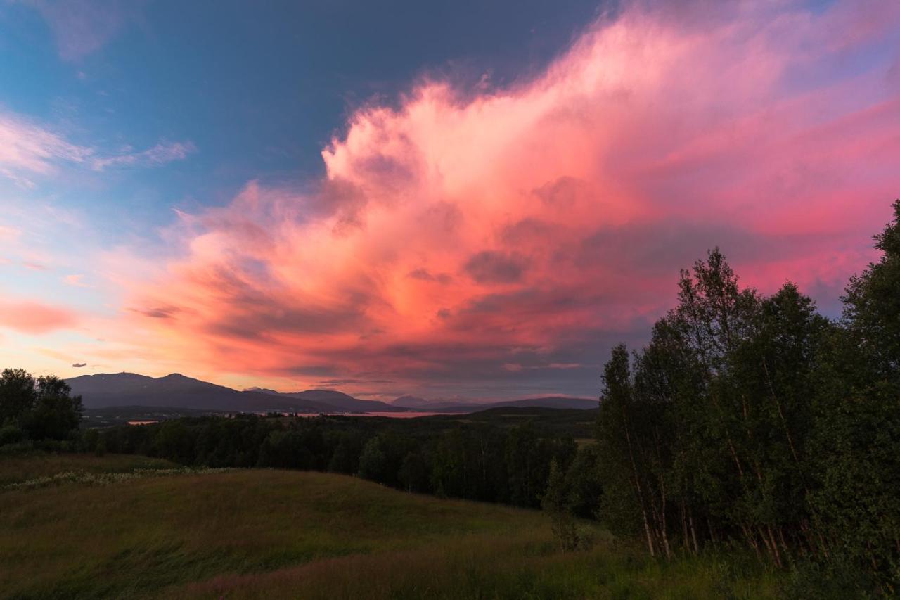 Aurora Borealis Observatory Silsand Zewnętrze zdjęcie