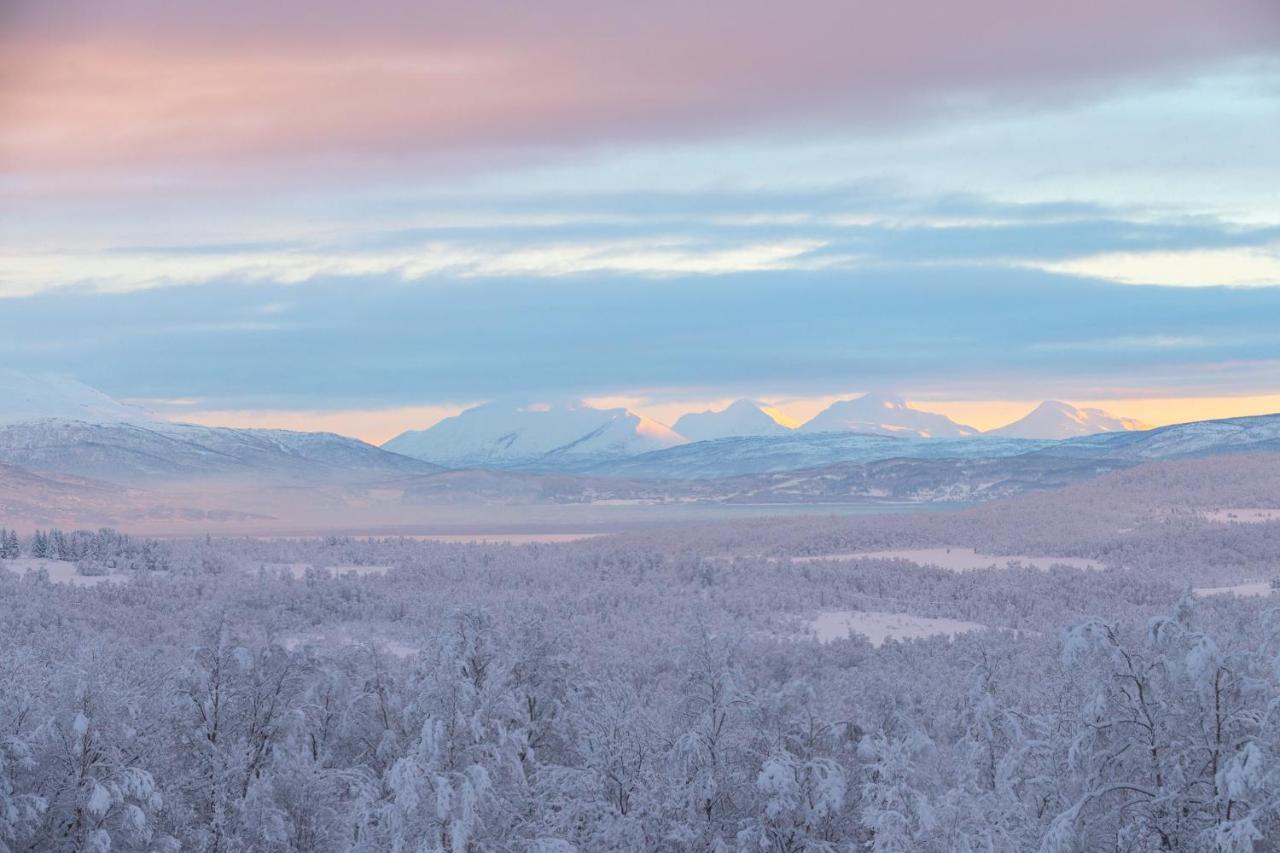 Aurora Borealis Observatory Silsand Zewnętrze zdjęcie