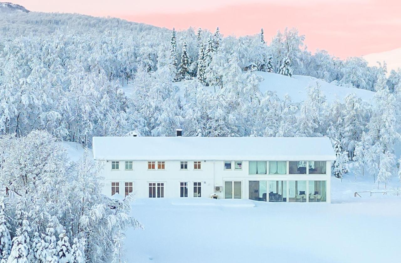 Aurora Borealis Observatory Silsand Zewnętrze zdjęcie