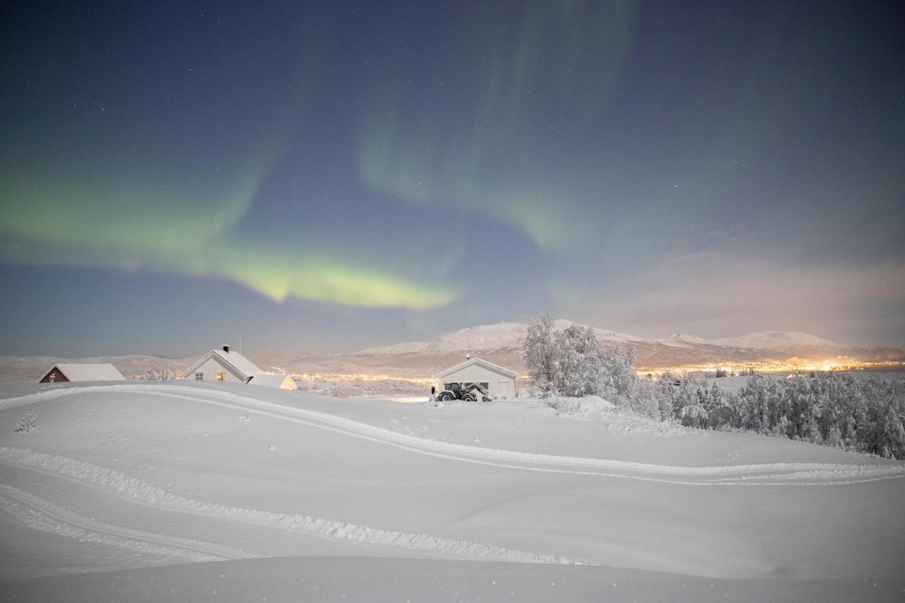 Aurora Borealis Observatory Silsand Zewnętrze zdjęcie